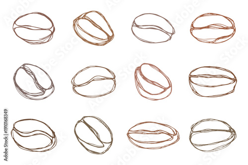 Set of hand drawn fresh roasted coffee bean Arabica robusta seed doodle Single element for design print packaging label decor