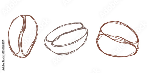 Set of hand drawn fresh roasted coffee bean Arabica robusta seed doodle Single element for design print packaging label decor