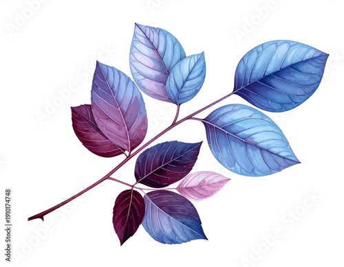 Branch with vibrant blue and purple leaves on white background