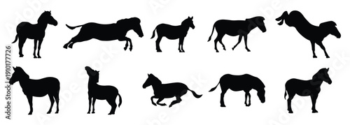 zebras silhouette vector illustration set