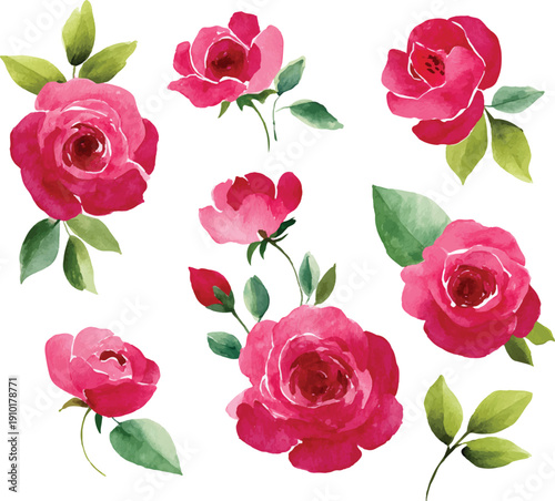 seamless pattern of roses