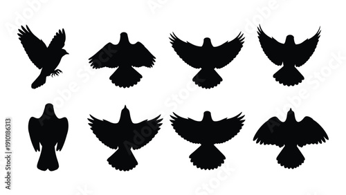A collection of eight different bird silhouettes in various flight and perching positions. isolated on white background, Vector