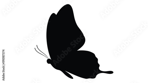 A black silhouette of a butterfly with intricate antennae resting on a surface isolated on white background, Vector