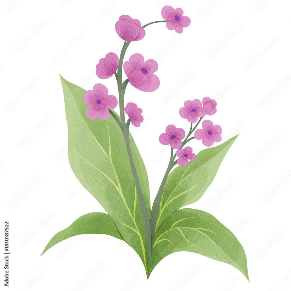 Fototapeta premium Watercolor Floral Flower Nature Romantic Plant Leaves Botanical Wildflower Wedding Spring Garden Blossom Illustration Decoration