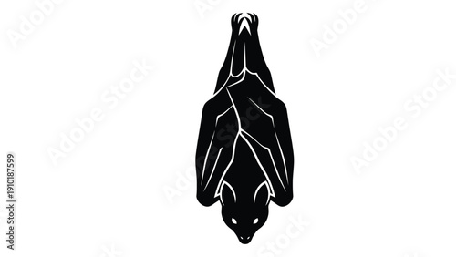 A detailed illustration of a bat hanging upside down by its feet. isolated on white background, Vector