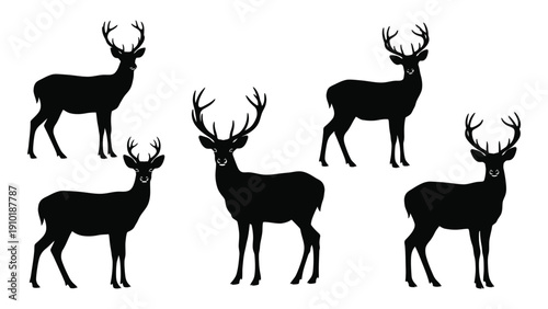 Five black silhouettes of deer and elk in various poses on a white background isolated on white background, Vector