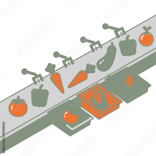 Conveyor Belt Sorting Vegetables for Food Processing