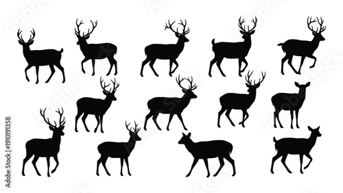 A group of black silhouette deer in various poses and positions isolated on white background, Vector