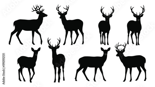 A group of black silhouettes of deer and elk standing in a line. isolated on white background, Vector