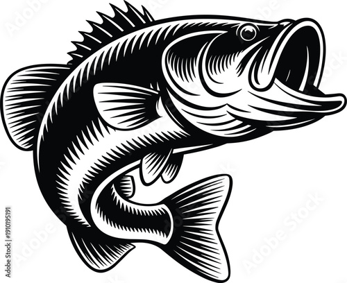 Large mouth bass jumping out of water with open mouth fish black and white 1