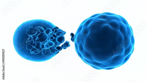 Microscopic 3D Animation of Cellular Autophagy and Biological Regeneration