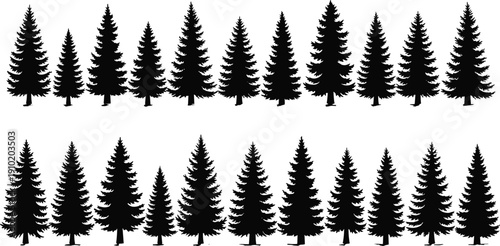 Pine Tree Silhouette Vector Collection Featuring Evergreen Fir and Spruce Forest Trees in Black Isolated Botanical Illustration Set for Landscape Design