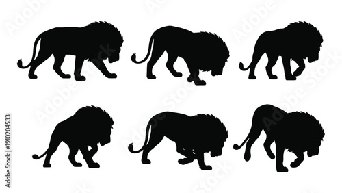 A collection of six different silhouettes of lions in various poses and stances. isolated on white background, Vector