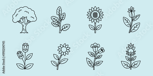Black line of various flowers and a tree on light blue background line black lines botanical