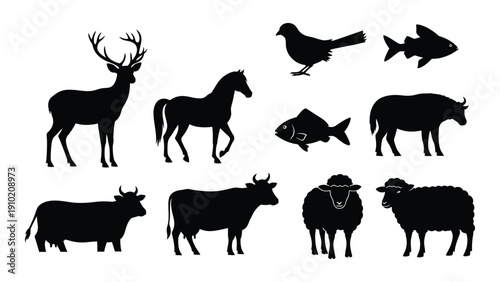 A collection of diverse animal silhouettes including birds, fish, and mammals isolated on white background, Vector