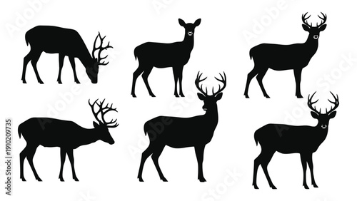 A group of deer silhouettes in various poses against a white background isolated on white background, Vector