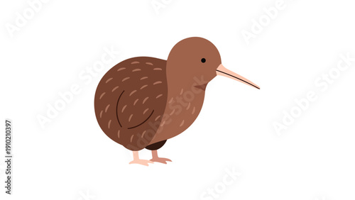 Illustration of a brown kiwi bird standing on a white background with a simple and flat design style.