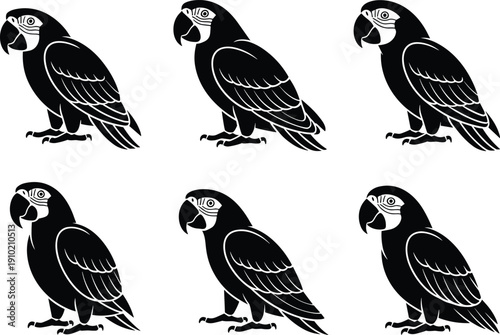 Black and white parrot silhouette illustration set showing standing tropical birds with detailed feathers, minimalist wildlife art collection for logo, tattoo and graphic design