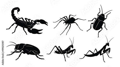 A diverse collection of insects and arachnids showcasing their unique body structures and sizes. isolated on white background, Vector