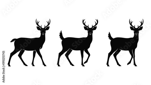 Three deer silhouettes walking in a line against a white background isolated on white background, Vector