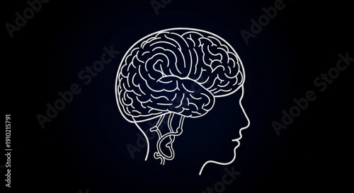 Detailed illustration of a human head in profile with a visible brain on a dark background