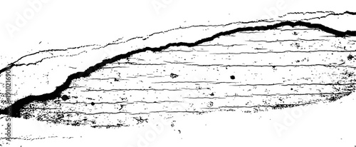Black and White Vector Grunge Texture Overlay with Large Crack and Distressed Aged Surface Effect