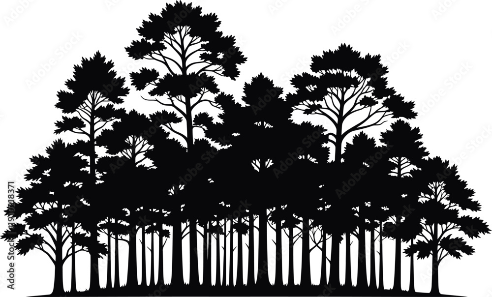 Fototapeta premium Black silhouette of a dense forest of trees