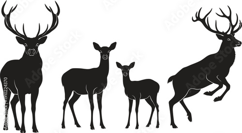 Family of deer silhouettes in various poses