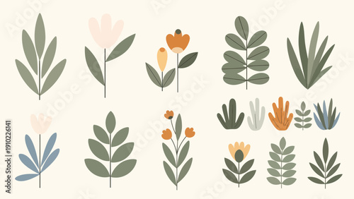 Collection of stylized botanical illustrations with a minimalist aesthetic.