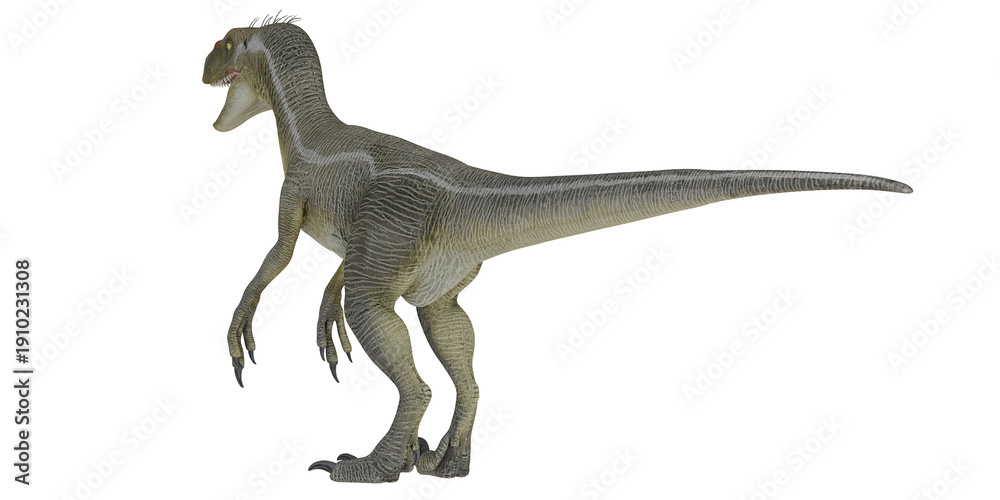 Fototapeta premium Realistic dinosaur model on white background