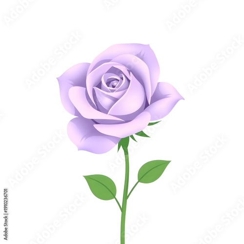 pink rose isolated on white