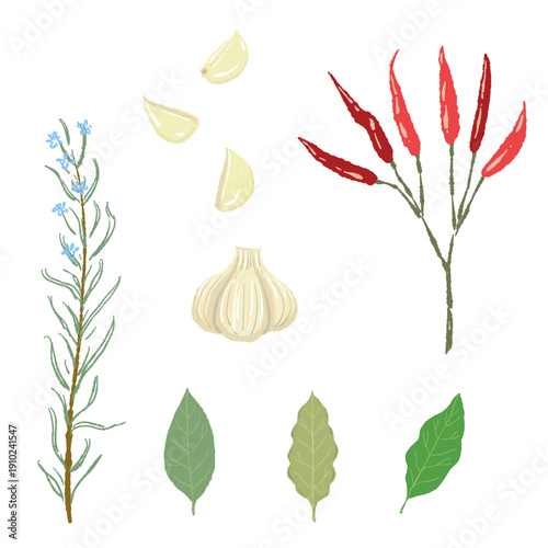 Homemade Herb Oil Ingredients with Rosemary Chili and Garlic