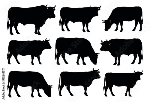 Modern silhouette cattle set featuring bulls and cows in various poses for farm and agriculture designs