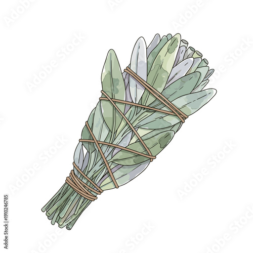 Illustration of a sage smudge stick wrapped in twine, isolated on a white background, showcasing detailed green leaves and natural texture