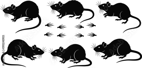 Black Mouse and Rat Silhouette Vector Set Featuring Various Rodent Poses Plus Tiny Paw Print Tracks Isolated on White Background for Wildlife and Pest Control Design