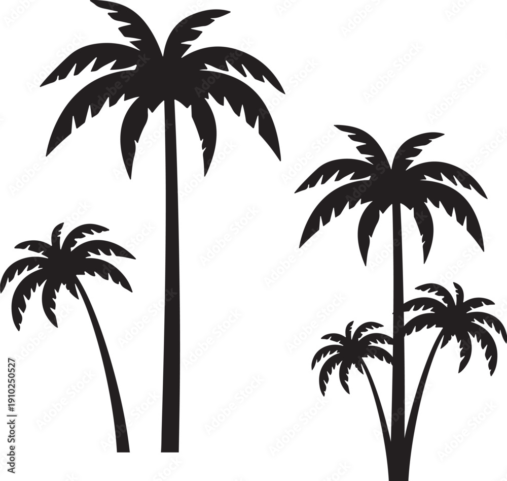 Fototapeta premium set of palm trees ,set of palms.palm, tree