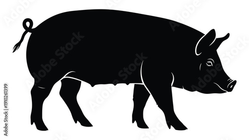 A black and white silhouette of a pig standing on all fours. isolated on white background, Vector