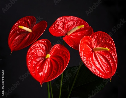 Vivid red, heart-shaped flowers with bright yellow stamens on black