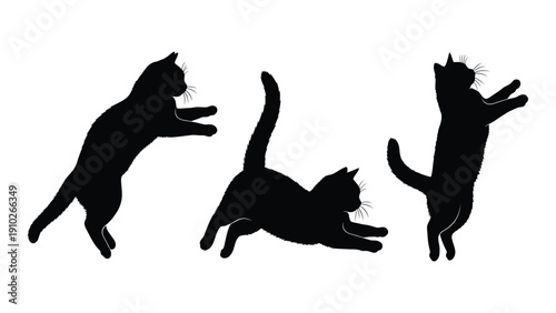 Three cats in mid-air, showcasing their playful and acrobatic nature. isolated on white background, Vector