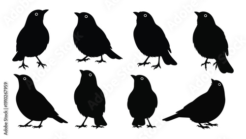 Eight black silhouettes of birds in various poses and orientations isolated on white background, Vector