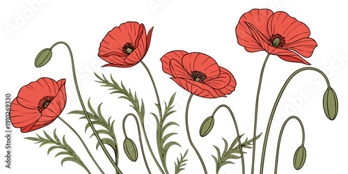 Gemini said

Vibrant red poppy flowers with delicate petals and green buds bloom in a minimalist floral design isolated on a white background to highlight their natural summer beauty