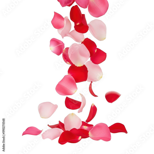 A bunch of rose petals falling down
