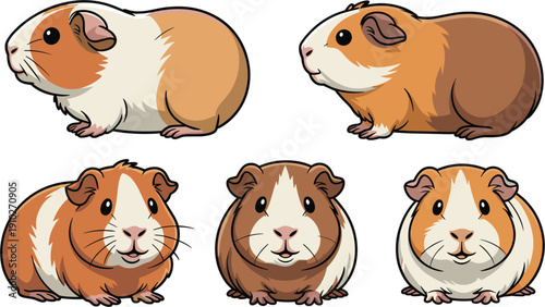 Set of adorable guinea pig vector illustrations featuring various breeds with realistic fur patterns 