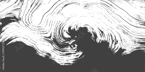 Vector illustration of horse and lion heads with artistic design