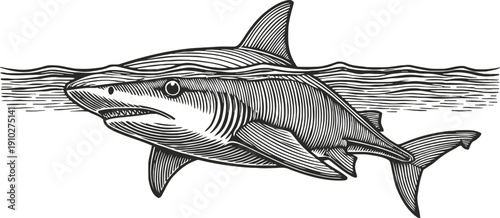 Illustration of a formidable shark swimming in the ocean with detailed line art and dynamic waves