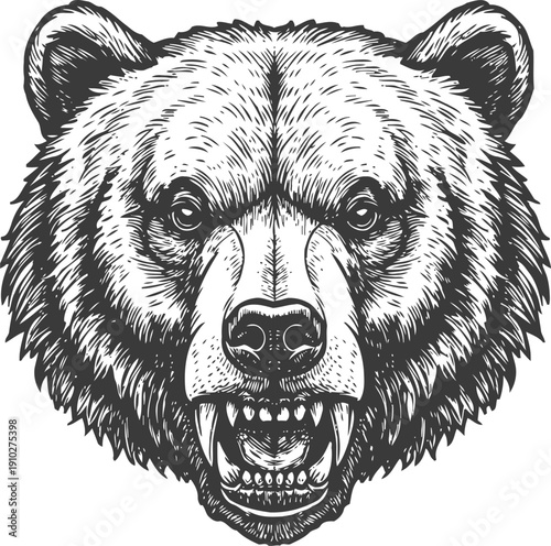 fierce bear head roaring with open mouth and sharp teeth, detailed monochrome animal illustration