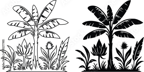 Banana Tree and Tropical Plants Vector Illustration Silhouette and Line Art Set