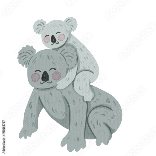 Photography watercolor koala illustration
