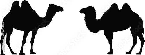 Camel silhouettes, Bactrian camel icons, desert animal vector, wildlife outline, nature design, transportation graphic, exotic species illustration, two hump camel pattern
