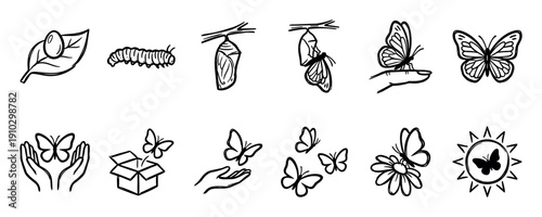 Hand drawn butterfly life cycle icon set showing metamorphosis from egg and caterpillar to chrysalis and adult insect in a minimalist black and white doodle style illustration